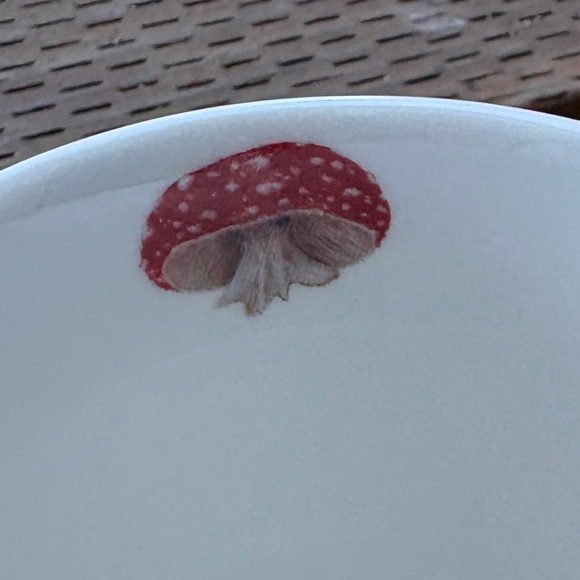 PaperProducts Design Vicki Sawyer Pageant Queen Owl and Mushroom Mug w/ Box - Picture 6 of 13